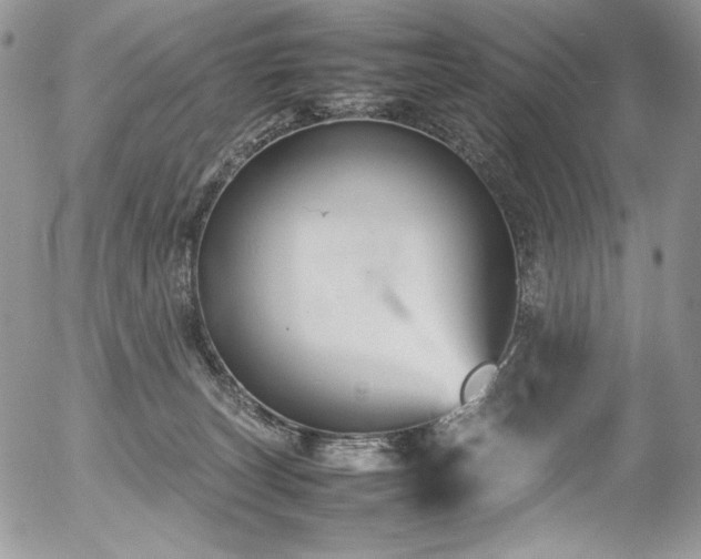 X0000054370179200507291056