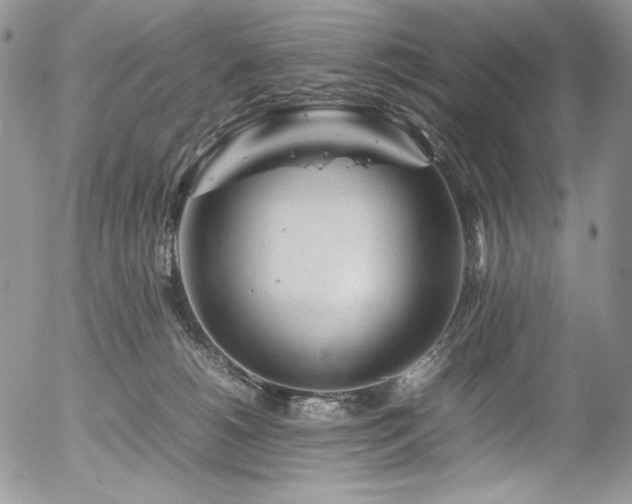 X0000054370180200507291056