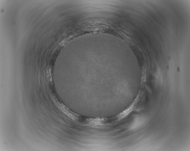 X0000054370182200507291056