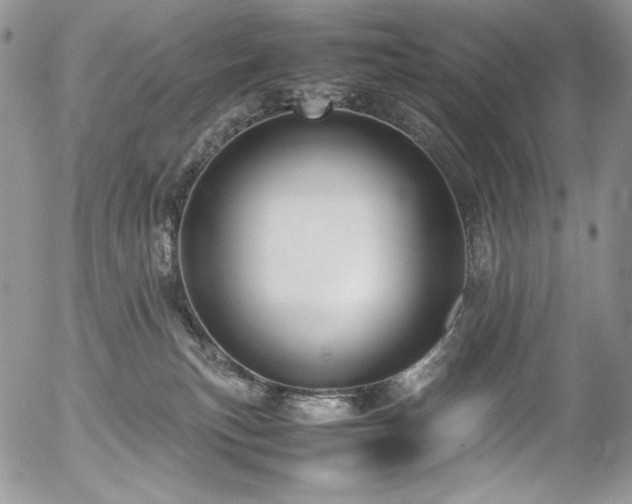 X0000054370183200507291056