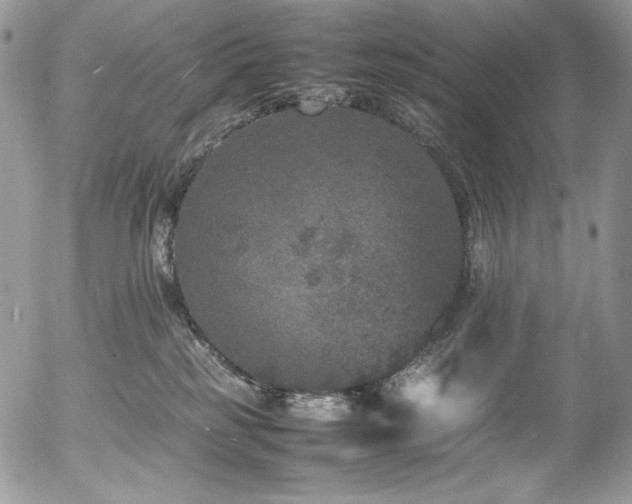 X0000054370185200507291056