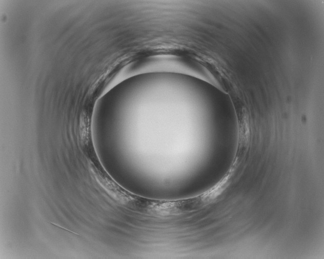 X0000054370186200507291056