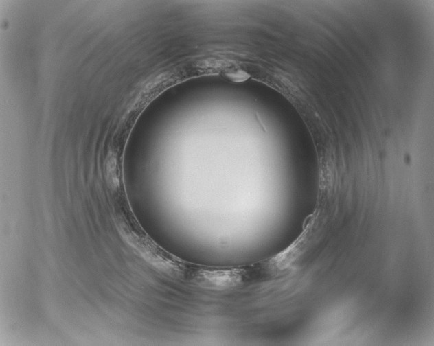 X0000054370187200507291056