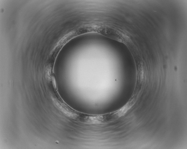 X0000054370188200507291056