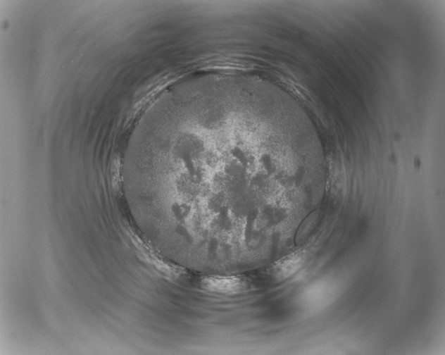 X0000054370189200507291056