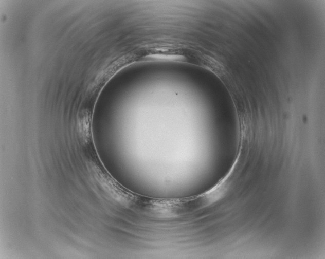 X0000054370190200507291056