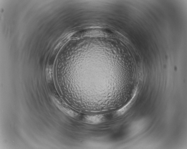 X0000054370191200507291056