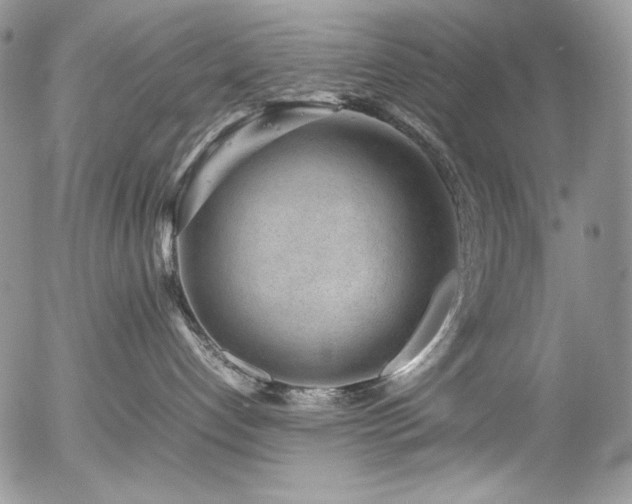 X0000054370192200507291056