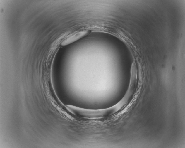 X0000054370193200507291055