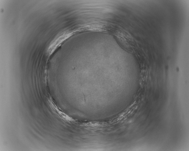 X0000054370194200507291055