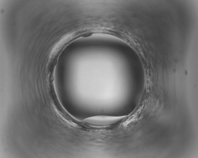 X0000054370197200507291055