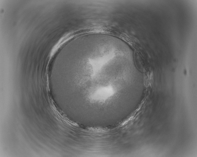 X0000054370198200507291055