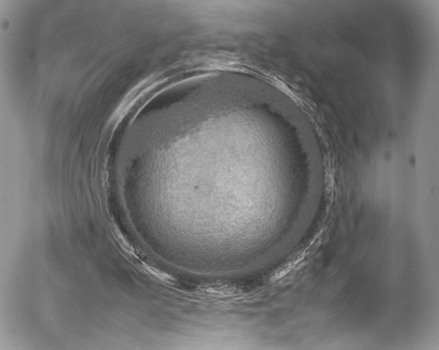 X0000054370199200507291055