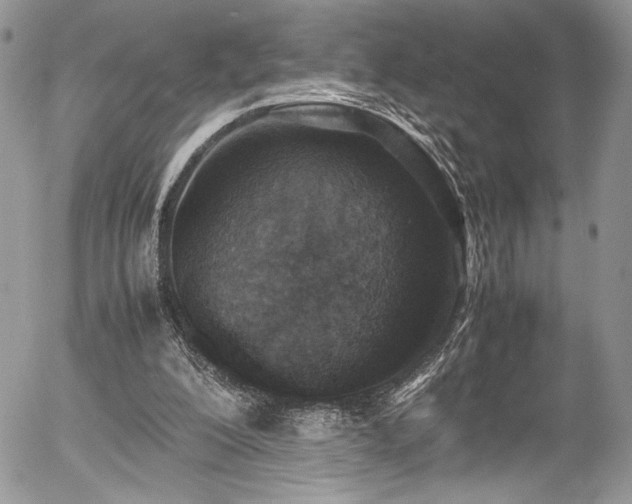 X0000054370200200507291055