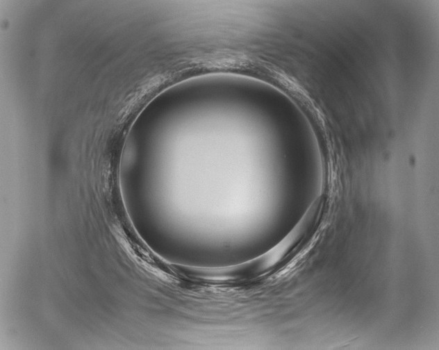 X0000054370201200507291055