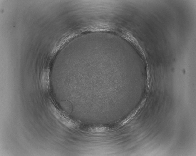 X0000054370202200507291055