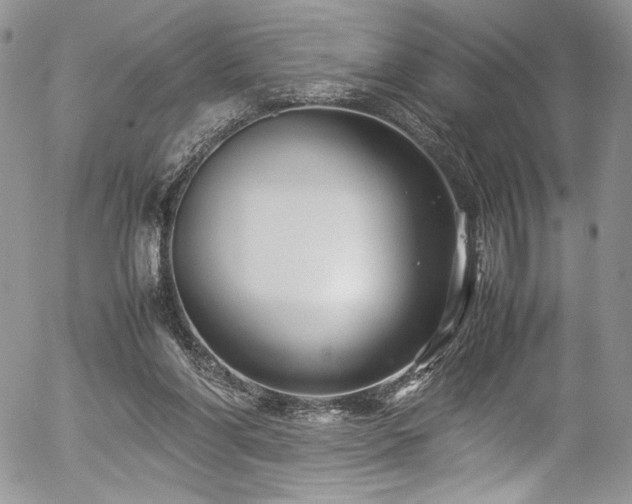 X0000054370206200507291055