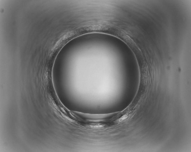 X0000054370207200507291055