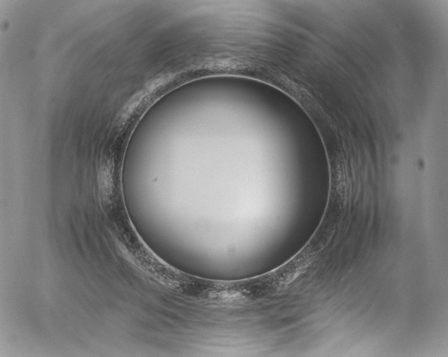 X0000054370208200507291055