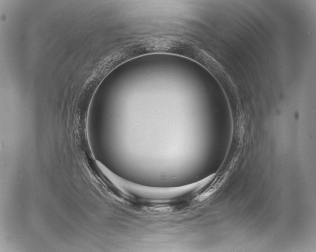 X0000054370209200507291055