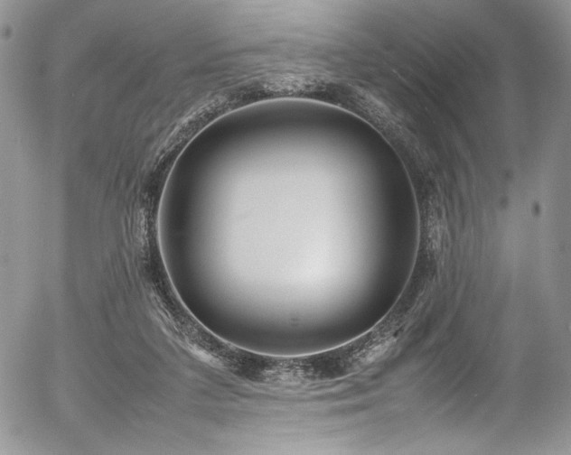 X0000054370211200507291055