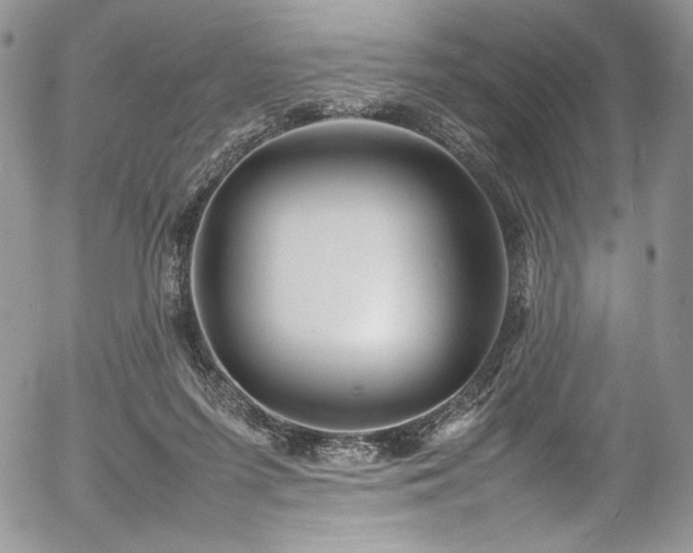 X0000054370215200507291055