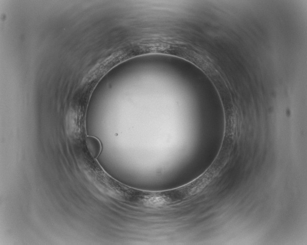 X0000054370218200507291055