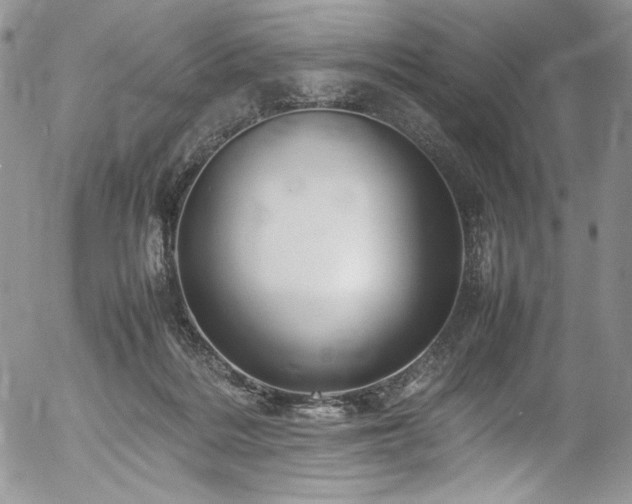 X0000054370220200507291055