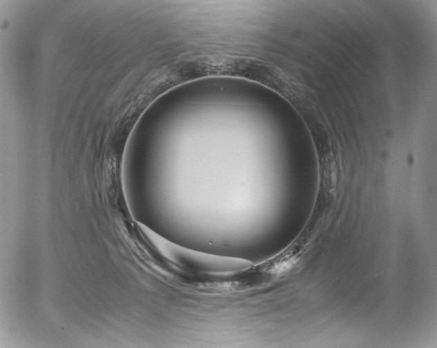 X0000054370225200507291055