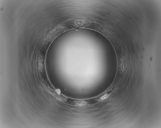 X0000054370226200507291055