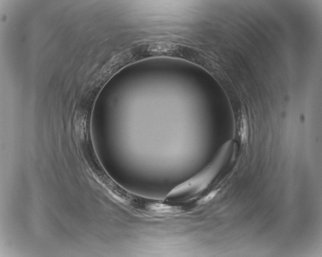 X0000054370227200507291055