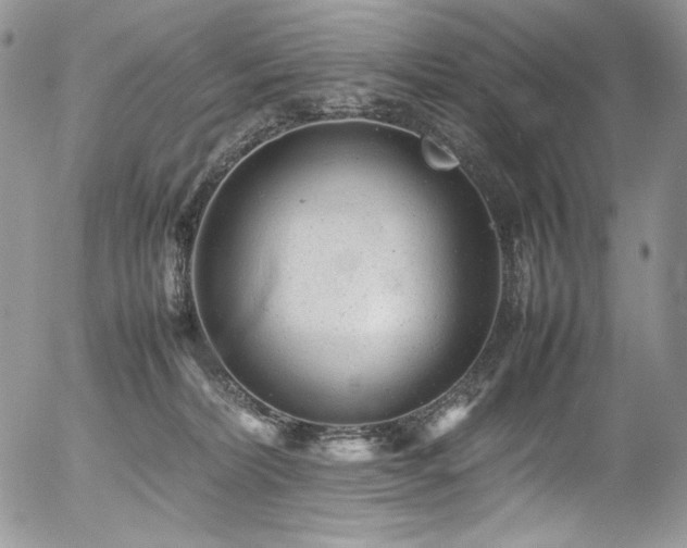 X0000054370228200507291055