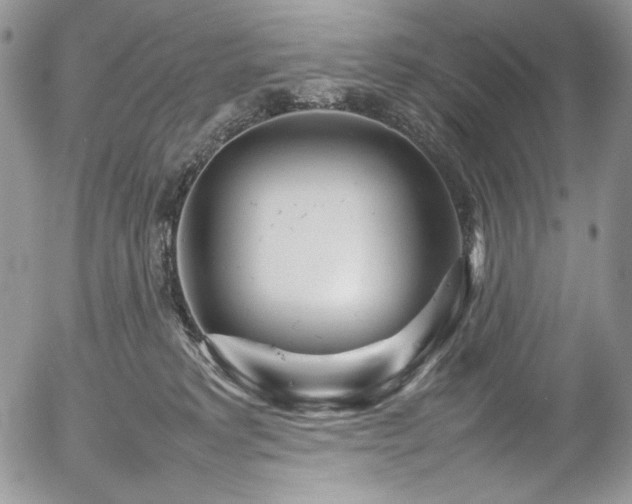 X0000054370229200507291055