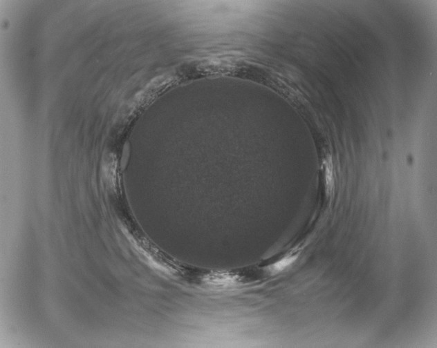 X0000054370231200507291055