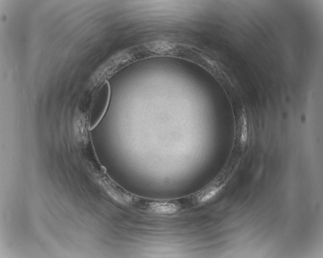 X0000054370234200507291055