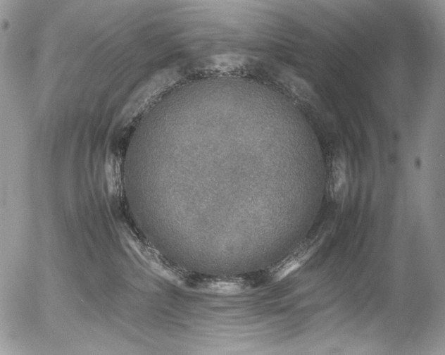 X0000054370236200507291055