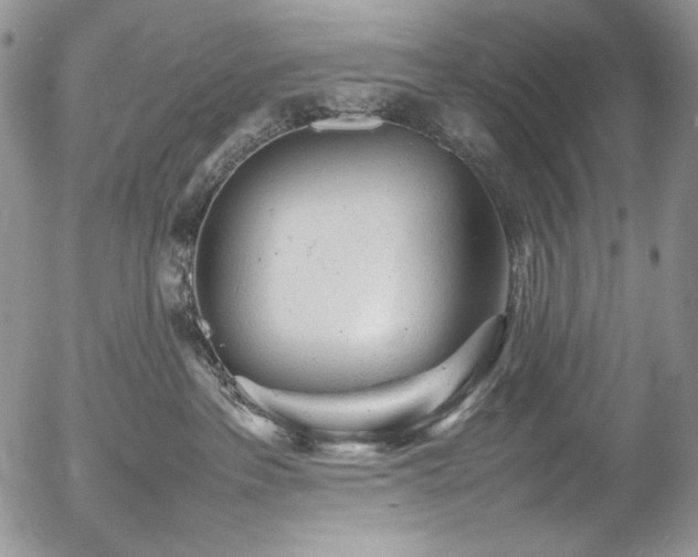 X0000054370237200507291055