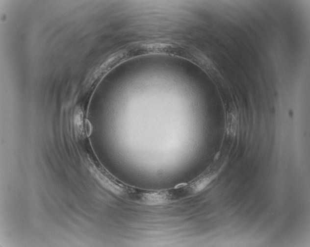 X0000054370238200507291055