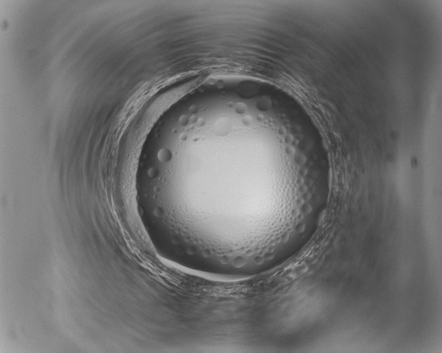 X0000054370241200507291054