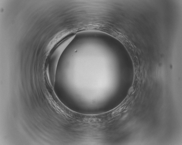 X0000054370242200507291054