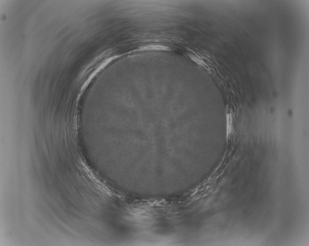 X0000054370243200507291054