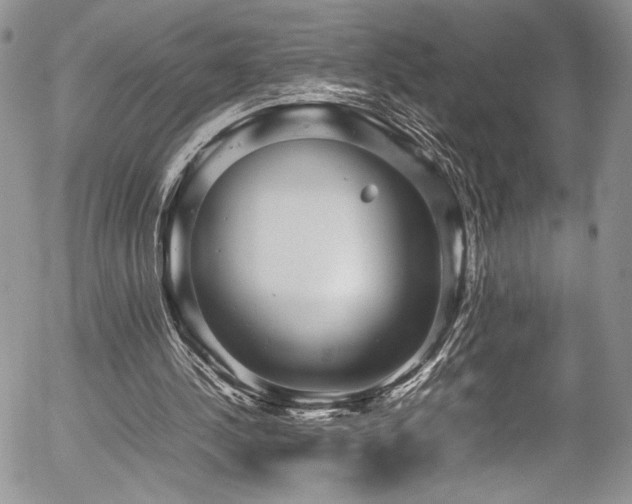 X0000054370244200507291054