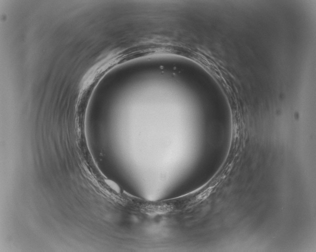 X0000054370245200507291054