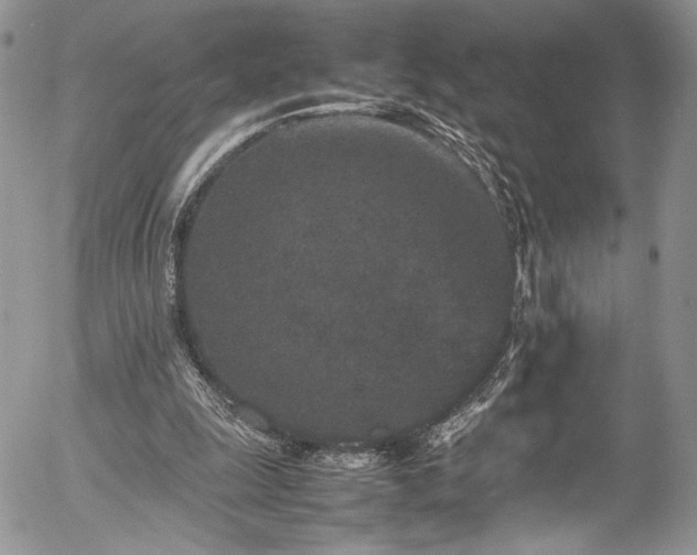 X0000054370247200507291054