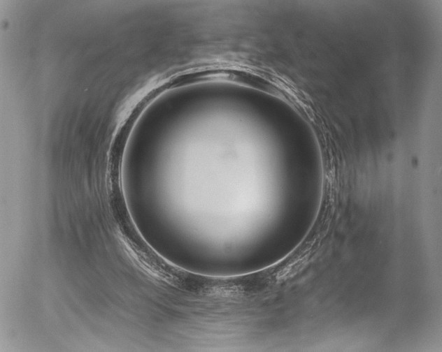 X0000054370248200507291054