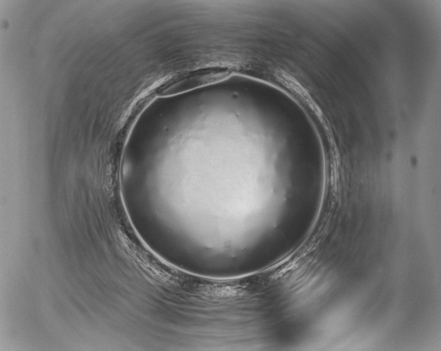 X0000054370249200507291054