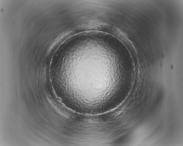 X0000054370250200507291054