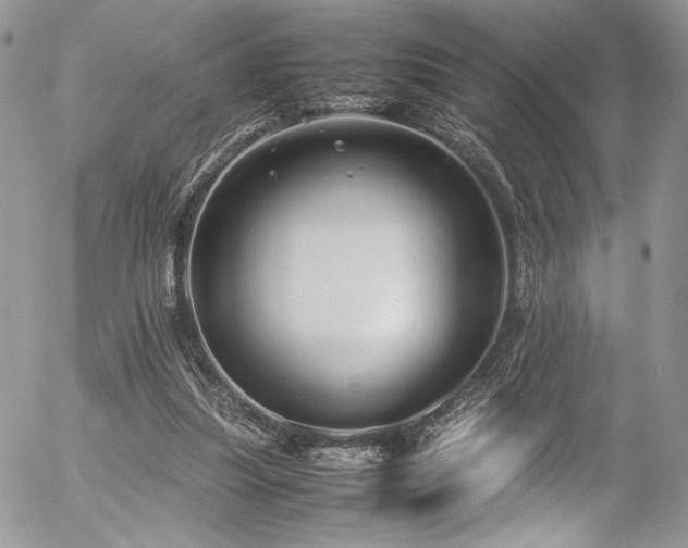 X0000054370251200507291054