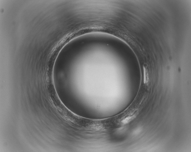 X0000054370252200507291054