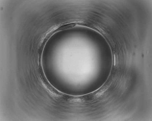 X0000054370253200507291054